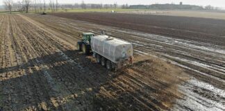 Co zamiast obornika na pole?