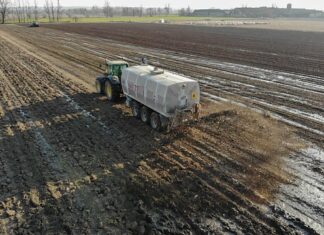 Co zamiast obornika na działkę?