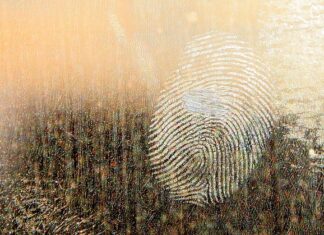 Jaki smar do przegubów wewnętrznych?