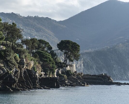 Ile kosztuje Kia Sportage?