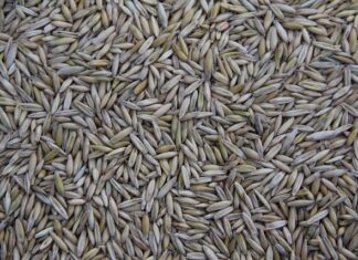 Kto produkuje narzędzia NEO?