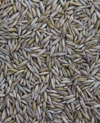 Kto produkuje narzędzia NEO?