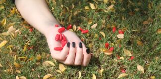 Czy można Przedawkować humus?