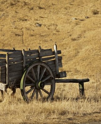 Ile wytrzymują uszczelniacze zaworowe?