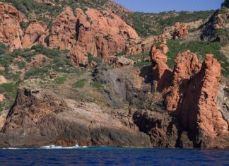 Jak długo można jechać na rezerwie AdBlue?