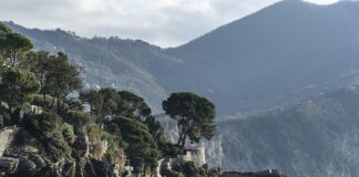 Ile kosztuje samochód elektryczny Tesla?