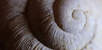 Co to jest powłoka Nano Glass?