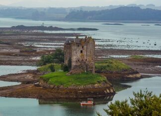 Jak aplikować Glaco? Jak aplikować Glaco?