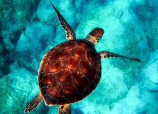 Co to jest powłoka Easy Clean? Co to jest powłoka Easy Clean?