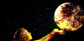 Czy warto kupić KIA Niro?