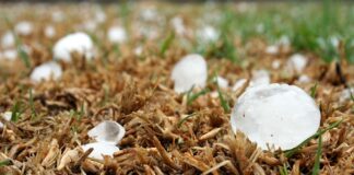 Czy opłaca się kupić auto po gradobiciu?