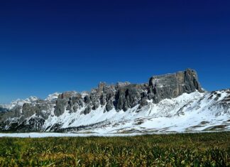 Kiedy siać nawóz pod warzywa? Kiedy siać nawóz pod warzywa?
