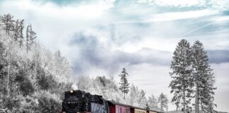 Jak długo trwa transport samochodu z fabryki do salonu?