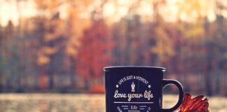 Co jest ważniejsze moment czy moc?