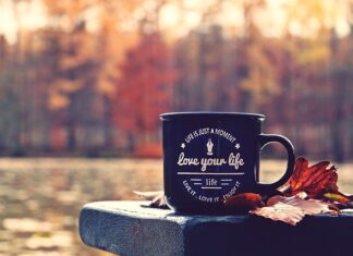 Co jest ważniejsze moment czy moc? Co jest ważniejsze moment czy moc?