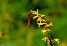 Co niszczy aluminium?