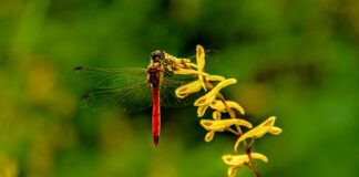 Co niszczy aluminium?