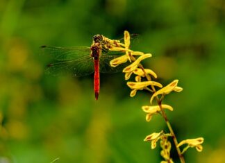 Co niszczy aluminium?