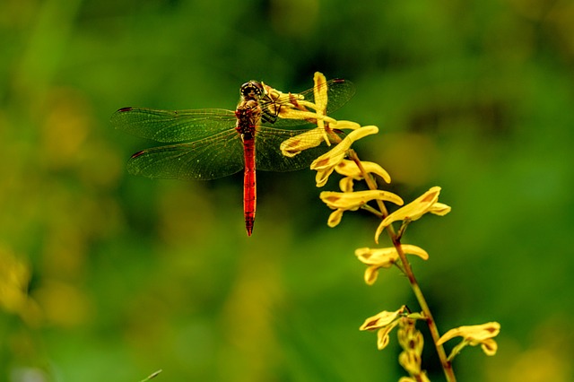 Co niszczy aluminium? Co niszczy aluminium?