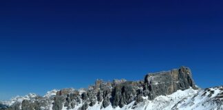 Z czego można zrobić nawóz?